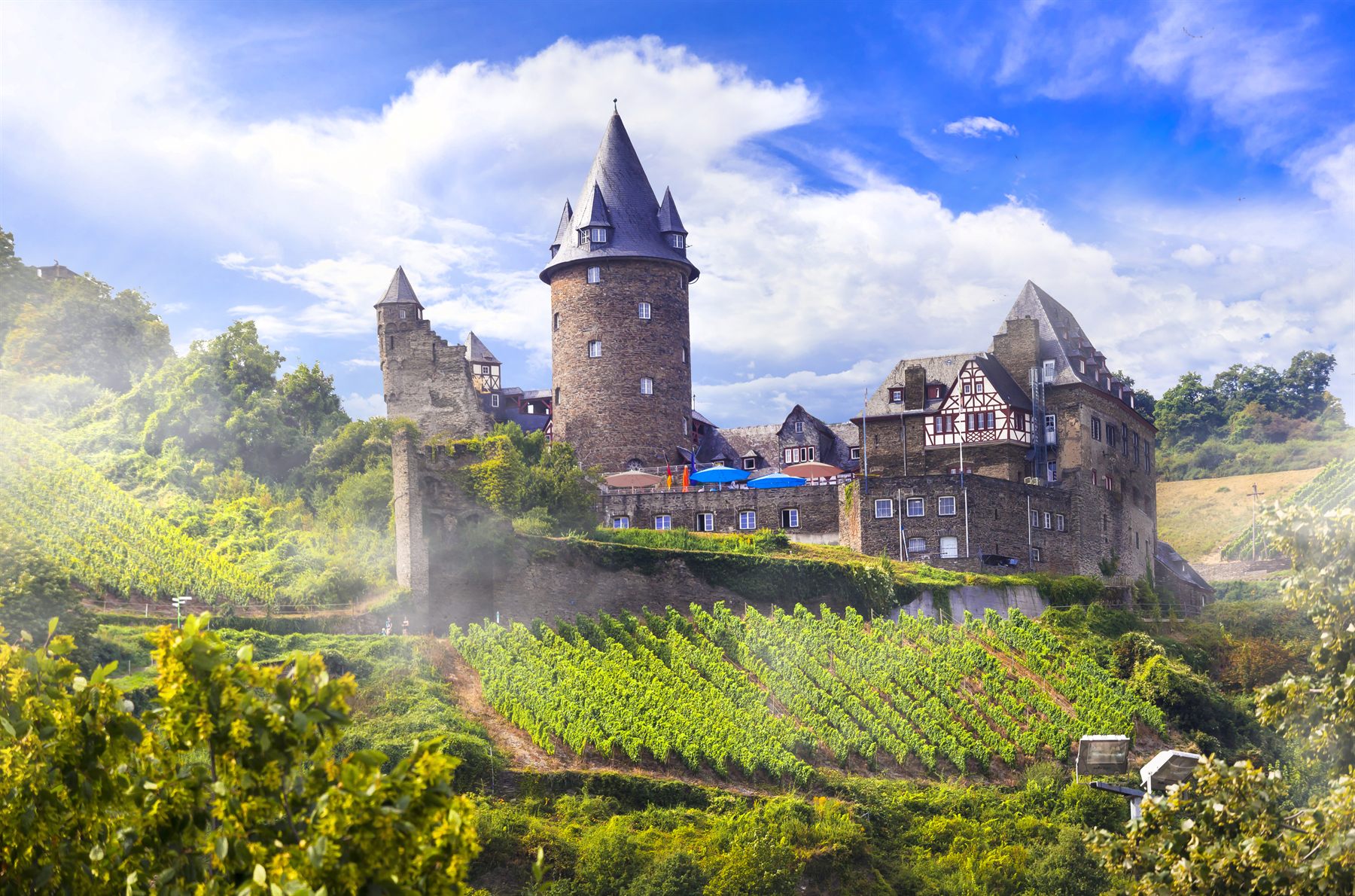 A river cruise ship passing castles on the Rhine